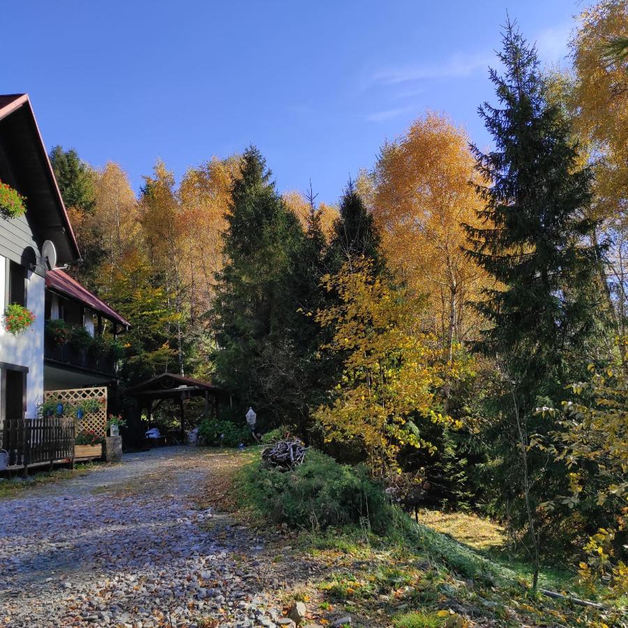 Kocia Górka Wisła Exterior foto